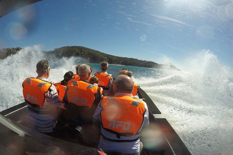 Noosa Thriller - 500hp Ocean Adventure Ride - Holiday Find 3