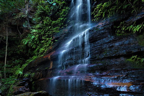 Blue Mountains Off The Beaten Track 4WD Day Adventure - Holiday Find 4