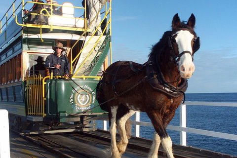 Full-Day Tour In South Australia Highlights - Holiday Find 1