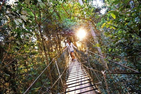 O'Reilly's & Lamington National Park From Brisbane - Holiday Find 5
