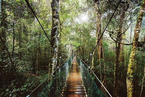 O'Reilly's & Lamington National Park From Gold Coast - Holiday Find 0