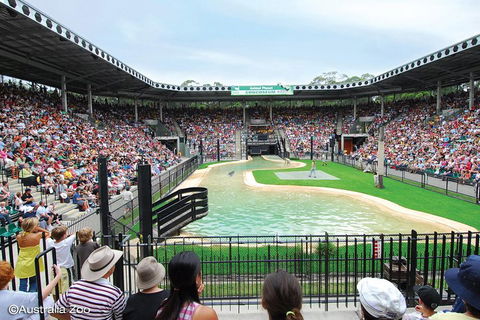 Croc Express To Australia Zoo From Brisbane - Holiday Find 2