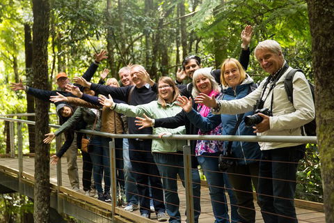 All Inclusive Blue Mountains Small-Group Day Trip From Sydney - Holiday Find 5