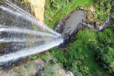 Natural Bridge & Springbrook Waterfalls Tour + Hot Air Balloon With Breakfast - Holiday Find 1