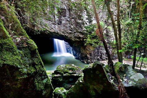 Natural Bridge & Springbrook Waterfalls Tour + Hot Air Balloon With Breakfast - Holiday Find 4