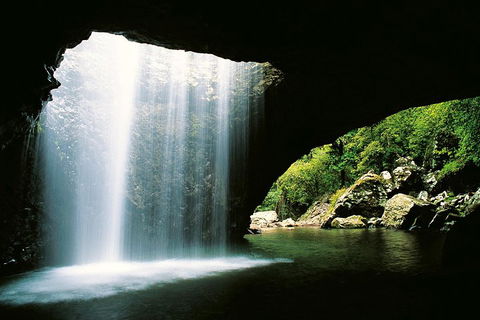 Natural Bridge & Springbrook Waterfalls Tour - Holiday Find 0