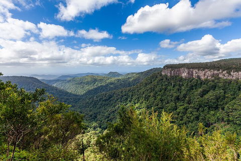 Natural Bridge & Springbrook Waterfalls Tour - Holiday Find 1