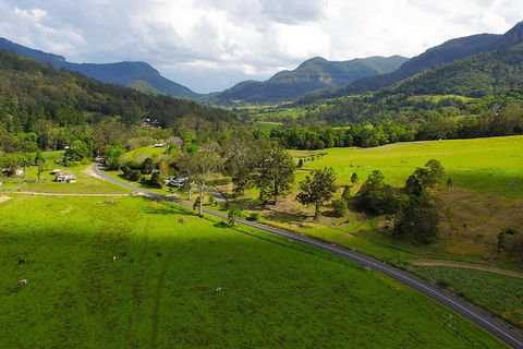 Natural Bridge & Springbrook Waterfalls Tour - Holiday Find 2