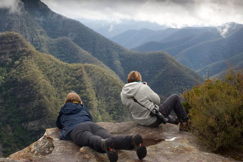 Inside The Greater Blue Mountains World Heritage - A Private Wildlife Safari Overnight - Holiday Find 0