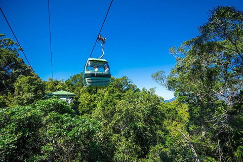 Skyrail Rainforest Cableway Day Trip From Cairns - Holiday Find 1
