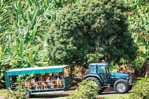 Northern Rivers Full Day Wine Tour - Holiday Find 1
