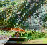 Tropical Fruit World Farm Full Tour - Holiday Find