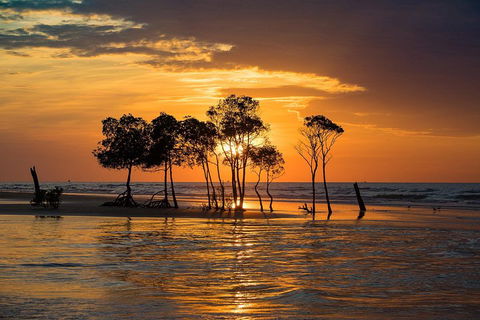 Delightful Darwin Self-Guided Audio Tour - Holiday Find 3