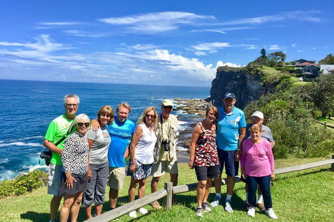 Shore Excursion: Sydney's Northern Beaches & Ku-ring-gai National Park Bus Tour - Holiday Find 0