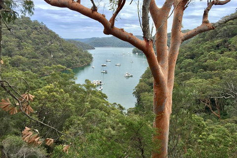 Shore Excursion: Sydney's Northern Beaches & Ku-ring-gai National Park Bus Tour - Holiday Find 1