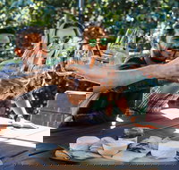 Full-day Wine-Tasting and Tamborine Mountain Tour with Lunch - Holiday Find