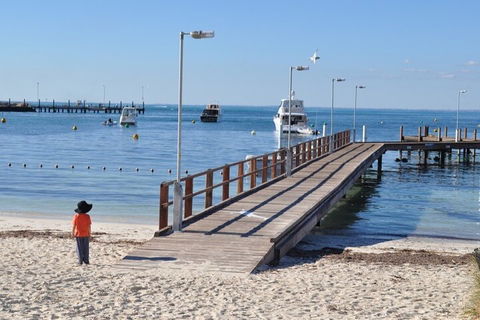 Monkey Mia Dolphins & Shark Bay Air Tour From Perth - Holiday Find 0
