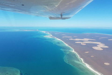 Monkey Mia Dolphins & Shark Bay Air Tour From Perth - Holiday Find 2