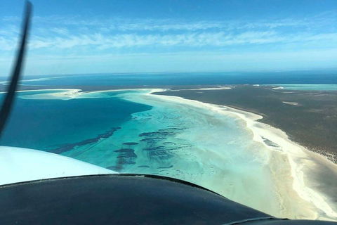 Monkey Mia Dolphins & Shark Bay Air Tour From Perth - Holiday Find 4