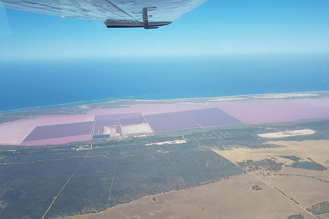Monkey Mia Dolphins & Shark Bay Air Tour From Perth - Holiday Find 5