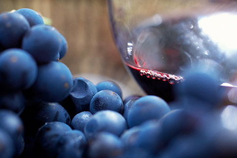 Yarra Valley 2-6 Guests Premium Food And Wine Inc Lunch At Dominique Portet - Holiday Find 5