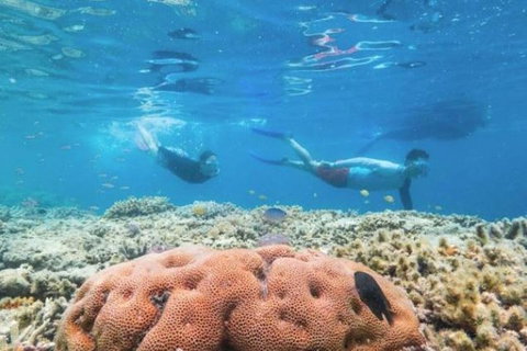 Great Barrier Reef Day Cruise To Reefworld - Holiday Find 1