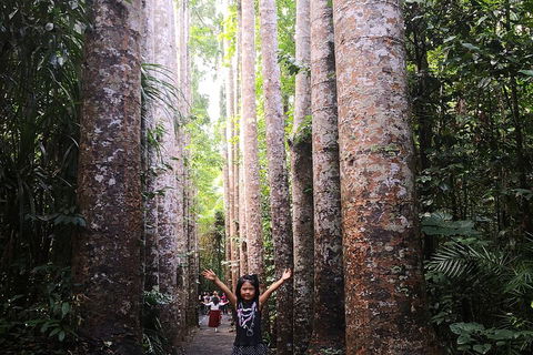 Private Tour To Paronella Park, Historic Village Herberton And Wild Life Wallaby - Holiday Find 2