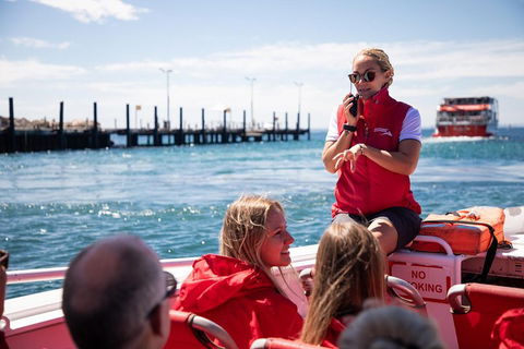 Adventure Rottnest Tour With Ferry & Adventure Cruise From Perth Or Fremantle - Holiday Find 4