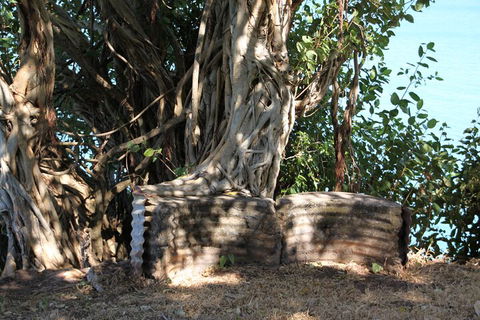 Darwin Walking Tour: World War II Reflections - Holiday Find 3