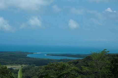 Cape Tribulation, Daintree Rainforest And Wildlife Tour - Holiday Find 1