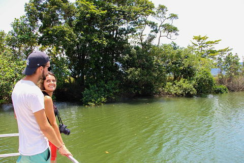 Cape Tribulation, Daintree Rainforest And Wildlife Tour - Holiday Find 2