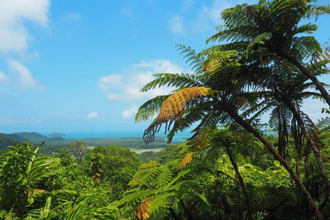 Cape Tribulation, Daintree Rainforest And Wildlife Tour - Holiday Find 3