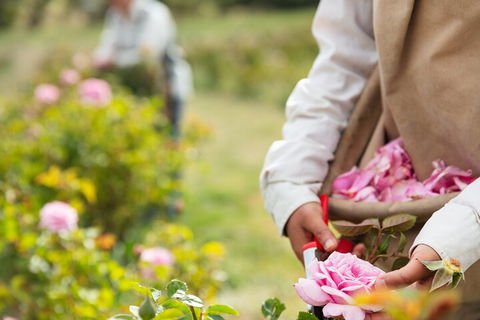 3 Days Adelaide Hills Wellness Escape - Holiday Find 3