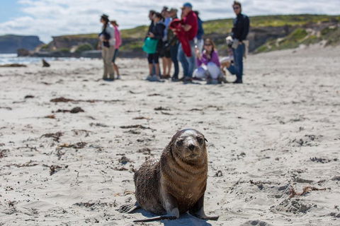 Kangaroo Island In A Day Tour From Adelaide - Holiday Find 0