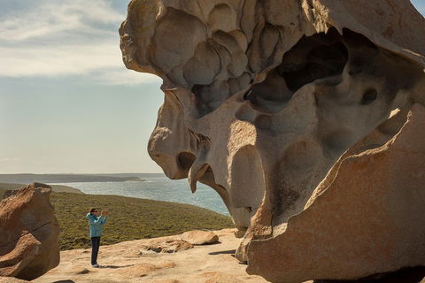 Kangaroo Island In A Day Tour From Adelaide - Holiday Find 5