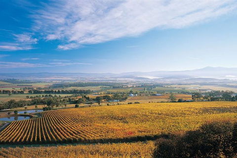 Melbourne City Tour And Half Day Yarra Valley In One Day - Holiday Find 5