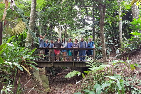 Cairns Shore Excursion: Cairns City Sights & Surrounds Tour - Holiday Find 1