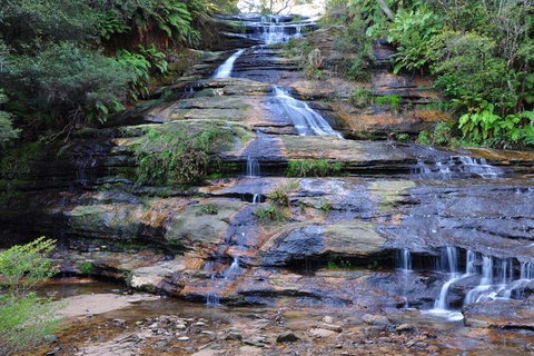 Blue Mountains Day Trip From Sydney With Amazing Lookouts (Private Tour) - Holiday Find 4