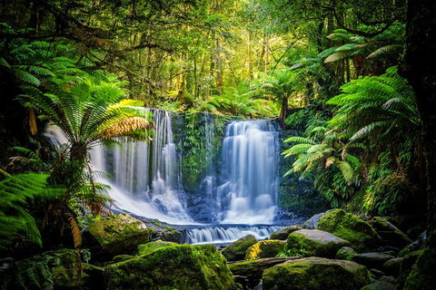 Day Tour In Mt. Field, Mt. Wellington, Bonorong Wildlife Sanctuary And Richmond - Holiday Find 0