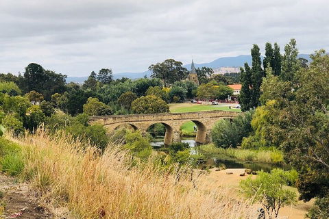 Day Tour In Mt. Field, Mt. Wellington, Bonorong Wildlife Sanctuary And Richmond - Holiday Find 3