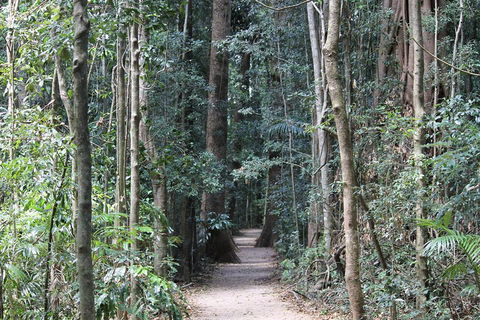 Eumundi Markets And Sunshine Coast Day Trip From Brisbane - Holiday Find 4
