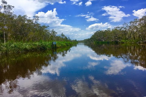 Noosa Everglades Serenity Cruise & Highlights Tour Inc. Lunch & Cruise - Holiday Find 0