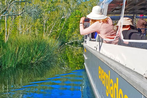 Noosa Everglades Serenity Cruise & Highlights Tour Inc. Lunch & Cruise - Holiday Find 2