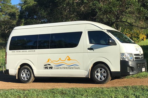 Noosa Everglades Serenity Cruise & Highlights Tour Inc. Lunch & Cruise - Holiday Find 5