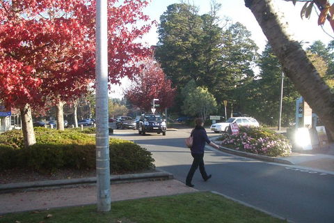 PRIVATE All-Day Blue Mountains Tour With Professional Guide For Up To 4 People - Holiday Find 1