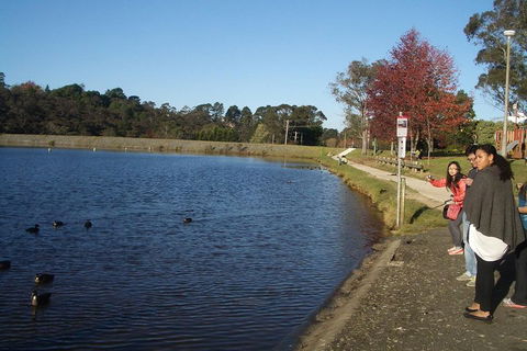 PRIVATE All-Day Blue Mountains Tour With Professional Guide For Up To 4 People - Holiday Find 2