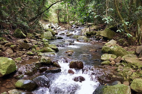 Springbrook Full Day Tour - Holiday Find 0