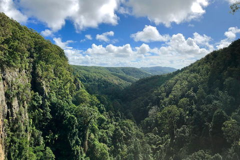 Springbrook Full Day Tour - Holiday Find 1
