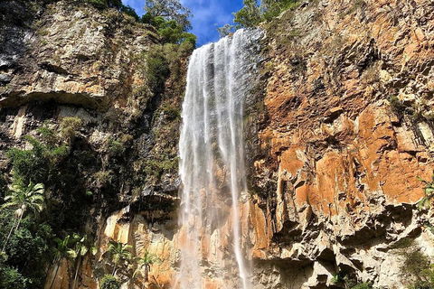 Springbrook Full Day Tour - Holiday Find 2