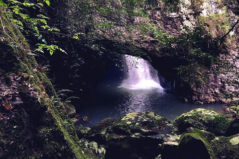 Springbrook Full Day Tour - Holiday Find 3
